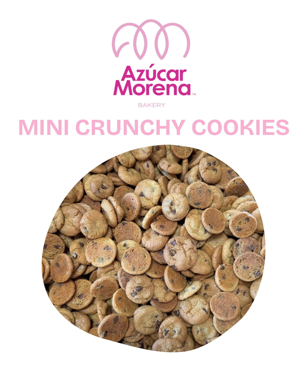 Recetario Digital - Mini Galletas Crujientes